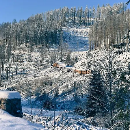 Tiny House Nature 16 - Tiny Village Harz * Osterode am Harz