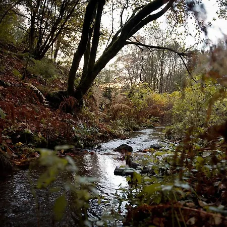 Tiny House Nature 16 - Tiny Village Harz