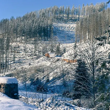 Tiny House Nature 16 - Tiny Village Harz